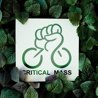 Critical Mass Mannheim