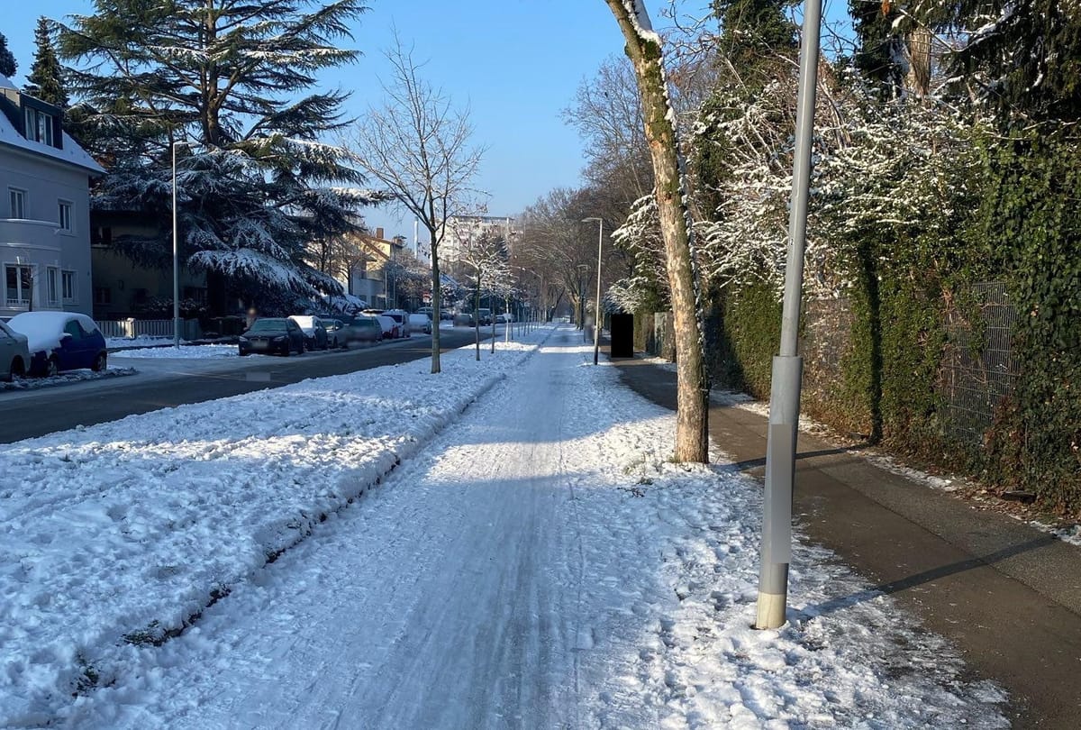 Winter-Sammel-Challenge 2025/26: Stimmen sammeln für mehr Flächengerechtigkeit in Mannheim